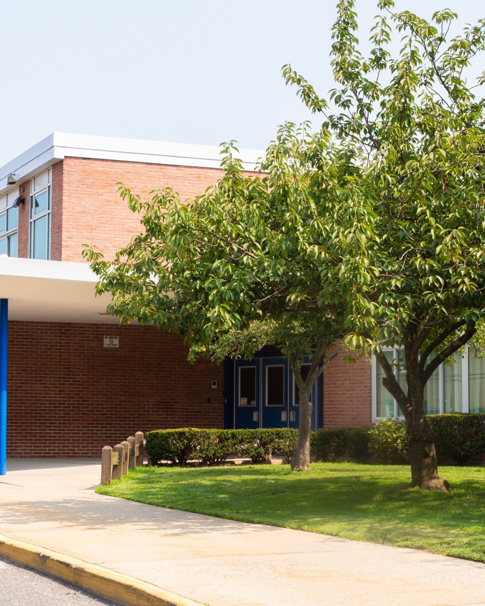 Front entrance of a brick school building shaded by a tree